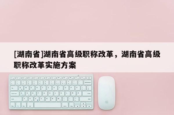 [湖南省]湖南省高级职称改革，湖南省高级职称改革实施方案