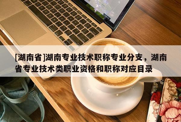 [湖南省]湖南专业技术职称专业分支，湖南省专业技术类职业资格和职称对应目录