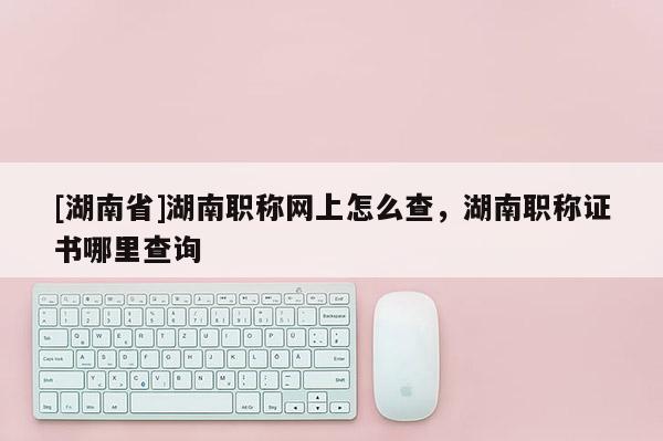 [湖南省]湖南职称网上怎么查，湖南职称证书哪里查询