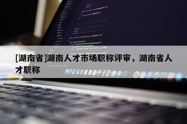 [湖南省]湖南人才市场职称评审，湖南省人才职称