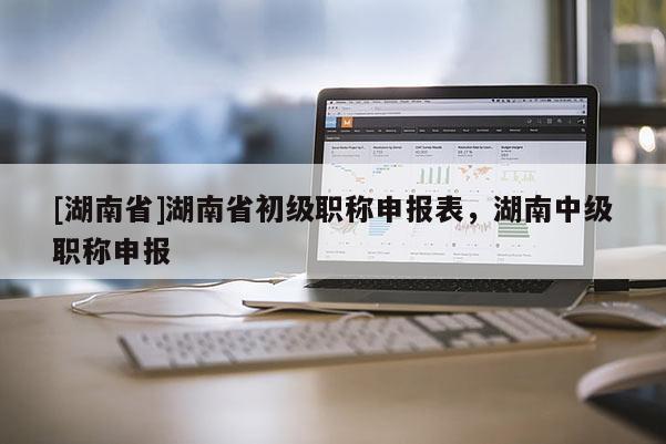 [湖南省]湖南省初级职称申报表，湖南中级职称申报