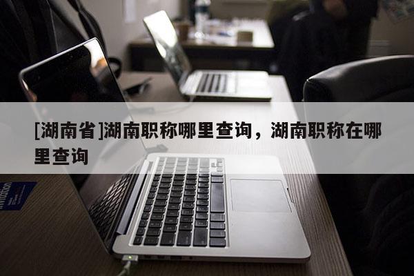 [湖南省]湖南职称哪里查询，湖南职称在哪里查询