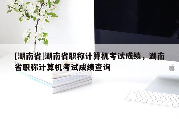 [湖南省]湖南省职称计算机考试成绩，湖南省职称计算机考试成绩查询