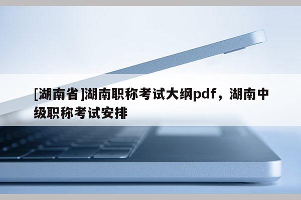 [湖南省]湖南职称考试大纲pdf，湖南中级职称考试安排