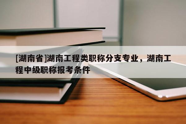[湖南省]湖南工程类职称分支专业，湖南工程中级职称报考条件