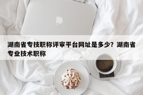 湖南省专技职称评审平台网址是多少？湖南省专业技术职称
